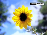Birthday Wallpapers