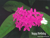 Birthday Wallpapers